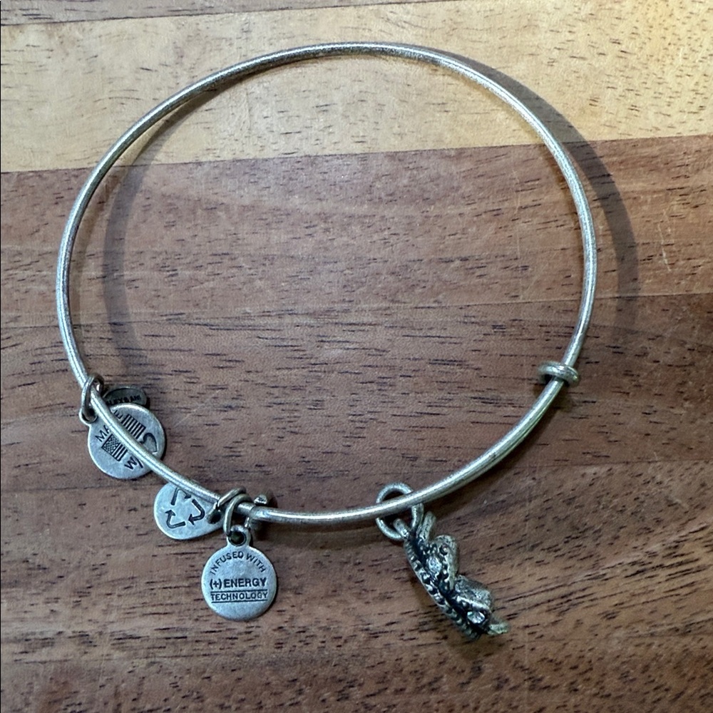 Alex and Ani Crown Bracelet